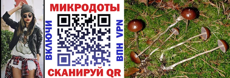 Галлюциногенные грибы ЛСД Неман